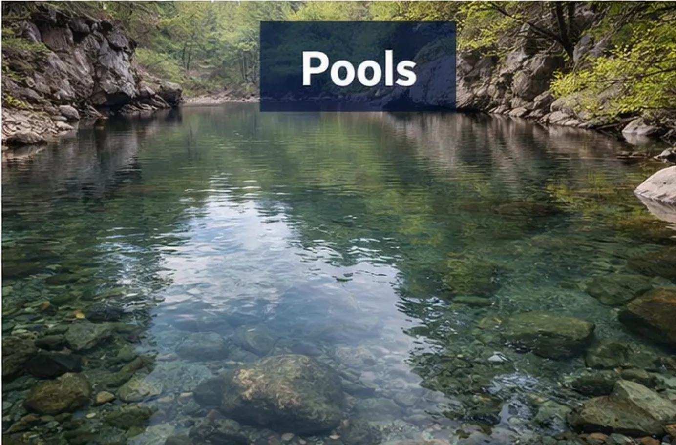 Pools — deep, slow water where big fish hold