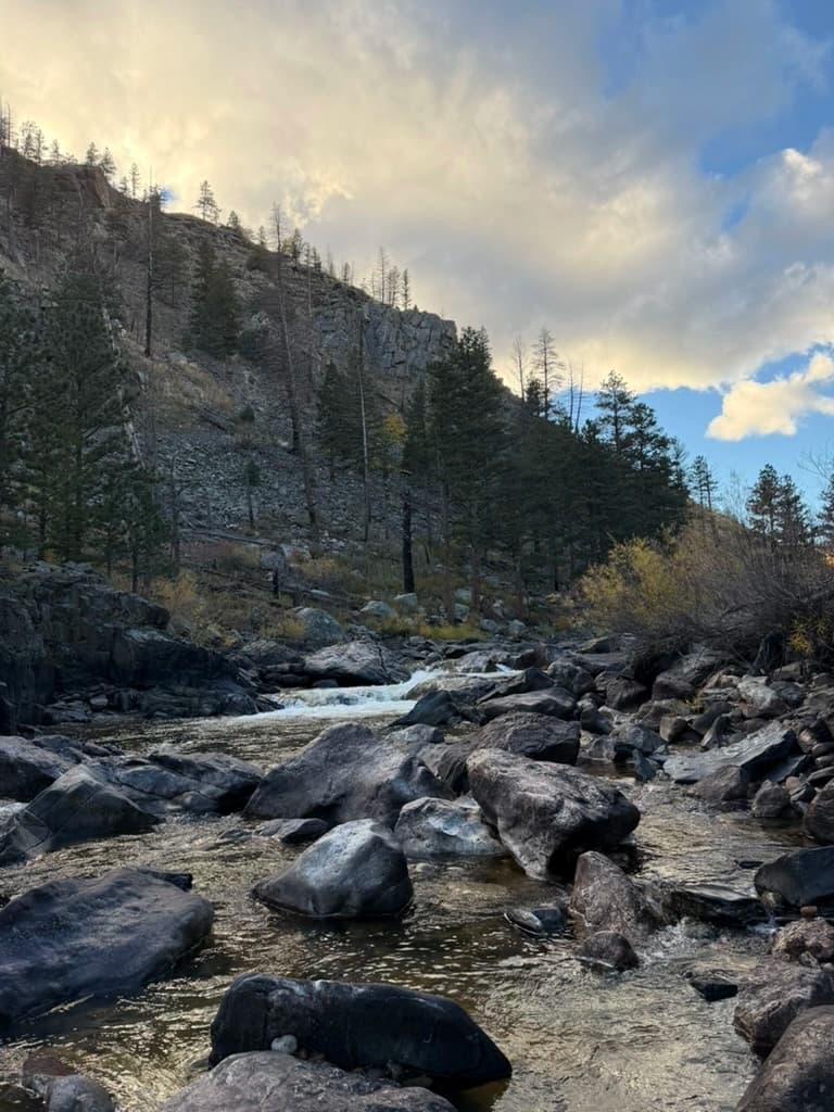 Fly Fishing Waders: The Complete Guide for Colorado Anglers